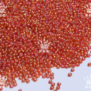 Round Rocailles - Silver-Lined Rainbow - 229