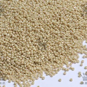 Round Rocailles - Opaque Rainbow - OR56